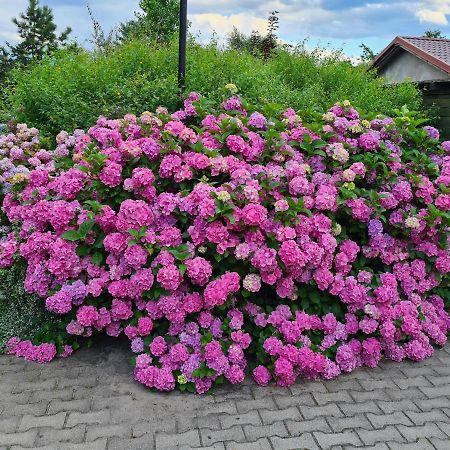 Dworek Sw.Antoniego Slawutowo المظهر الخارجي الصورة